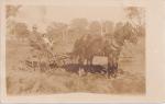 James Downs (ma-she-nah), c.1909 James Downs (ma-she-nah), c.1909